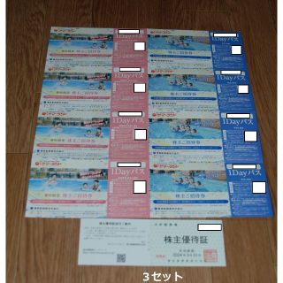 東京都競馬　株主優待　3セット　サマーランド（ラクマパック配送）(遊園地/テーマパーク)