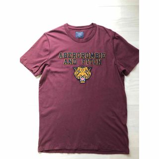 アバクロンビーアンドフィッチ(Abercrombie&Fitch)のAbercrombie&Fitch アバクロ トラ刺繍  Tシャツ  (Tシャツ/カットソー(半袖/袖なし))