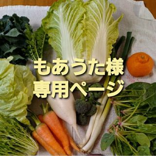 もあうた様専用ページです(野菜)