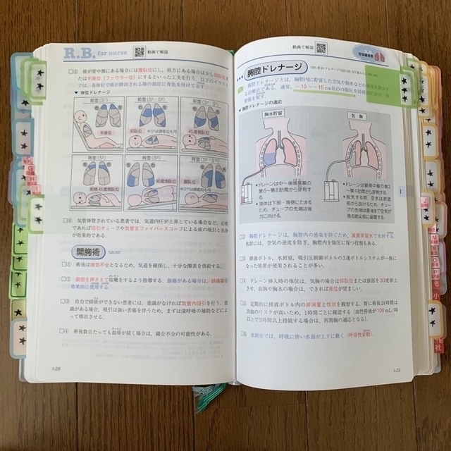 看護師・看護学生のためのレビューブック ２０２３ 第２４版 エンタメ/ホビーの本(資格/検定)の商品写真