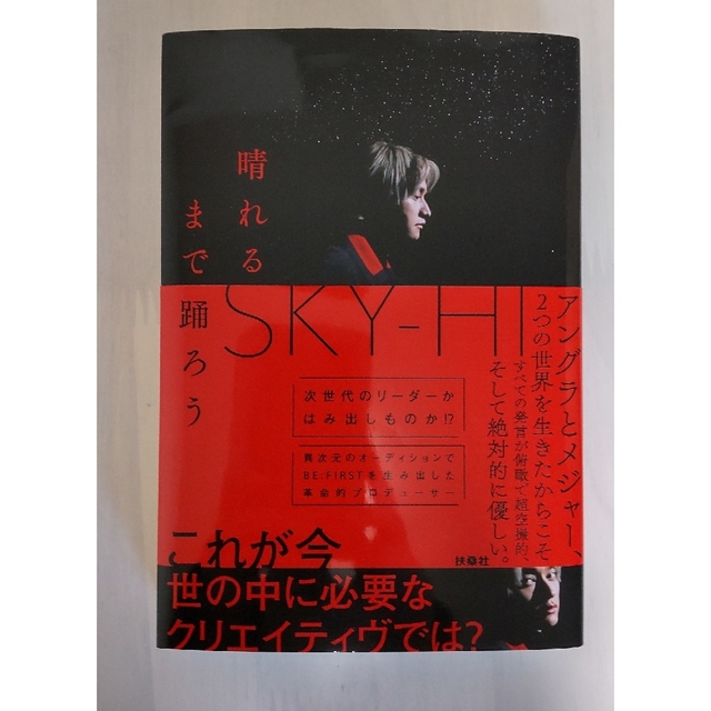 SKYHi(スカイハイ)の晴れるまで踊ろう エンタメ/ホビーの本(文学/小説)の商品写真