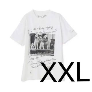 Bruce Weber ブルースウェーバー tシャツ　サイズ希少xxl(Tシャツ/カットソー(半袖/袖なし))