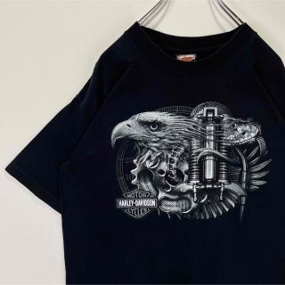 ハーレーダビッドソン(Harley Davidson)のハーレーダビッドソン　Tシャツ ビッグロゴ　ストリート　古着　ブラック　Lサイズ(Tシャツ/カットソー(半袖/袖なし))