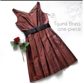 Tijuna Brass オケージョンドレス　美品(ミディアムドレス)