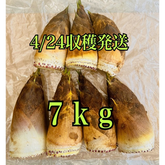 千葉県産無農薬たけのこ7kg 4/24収穫発送 食品/飲料/酒の食品(野菜)の商品写真