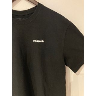 パタゴニア(patagonia)の【yuuu7320様専用】patagonia  Tシャツ 39174SP19(Tシャツ/カットソー(半袖/袖なし))