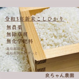 特別栽培米　栽培期間中無農薬（栽培期間外もずっと）令和3年産3合(450g）(米/穀物)