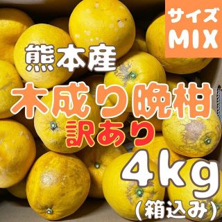 今のところ数量限定 木成り晩柑 訳あり4kg(フルーツ)