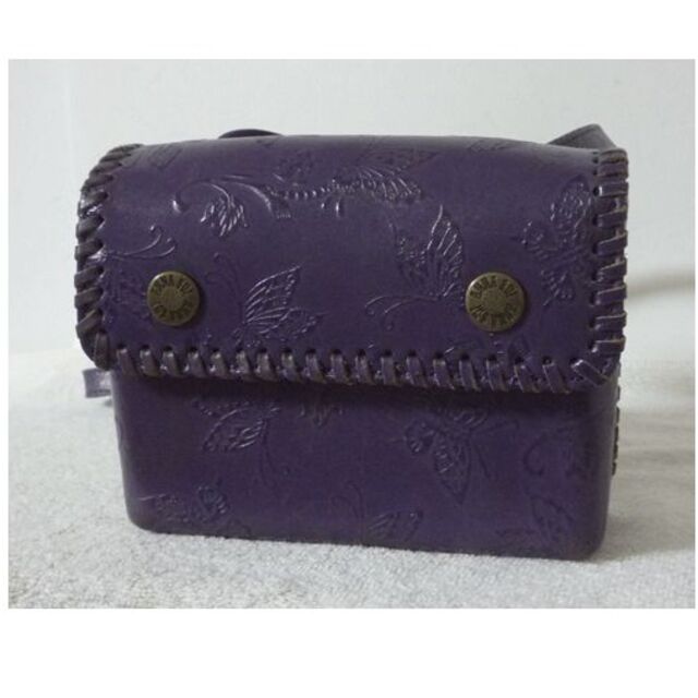 ANNA SUI(アナスイ)のアナスイ　ANNASUI　レザー　ウエストポーチ　レディース レディースのバッグ(ボディバッグ/ウエストポーチ)の商品写真