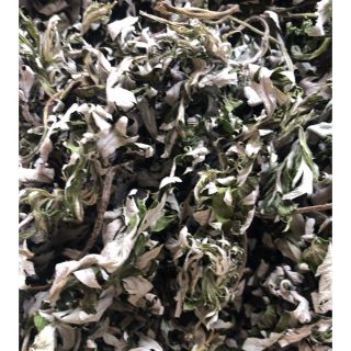 乾燥よもぎ 80g 無農薬 天然物 国産 よもぎ茶 天日干し よもぎ茶 野草(健康茶)