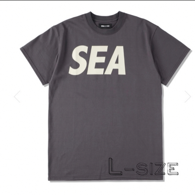 wind and sea Tシャツ チャコールLサイズ | hartwellspremium.com
