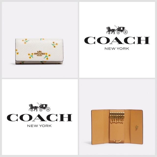 COACH 大人気！！ 6リング キーケース フローラル チョーク 花柄 新品