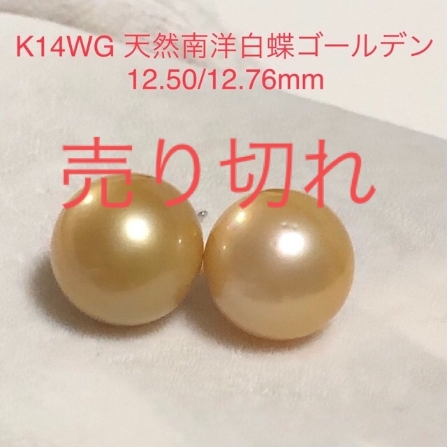 K14WG 天然南洋白蝶ゴールデン真珠丸系ピアス　12.50/12.67mm