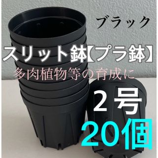 【スリット鉢】プラ鉢直径6cm 2号　20個セット【新品】ブラック(プランター)