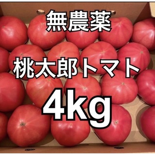 無農薬　栽培　桃太郎トマト　4kg  B品(野菜)