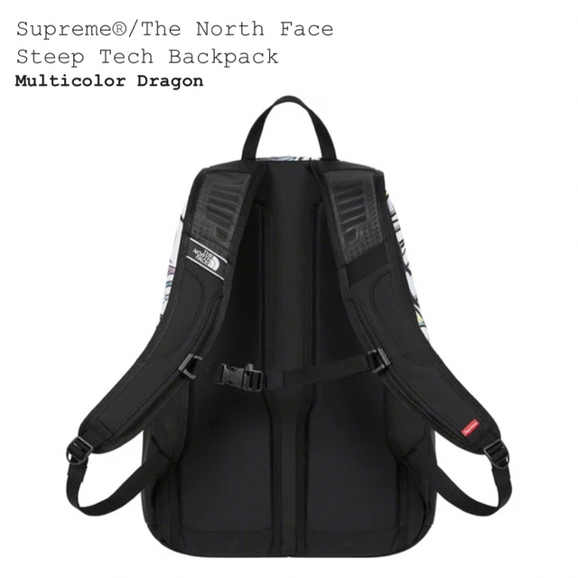 Supreme North Face Steep Tech Backpack