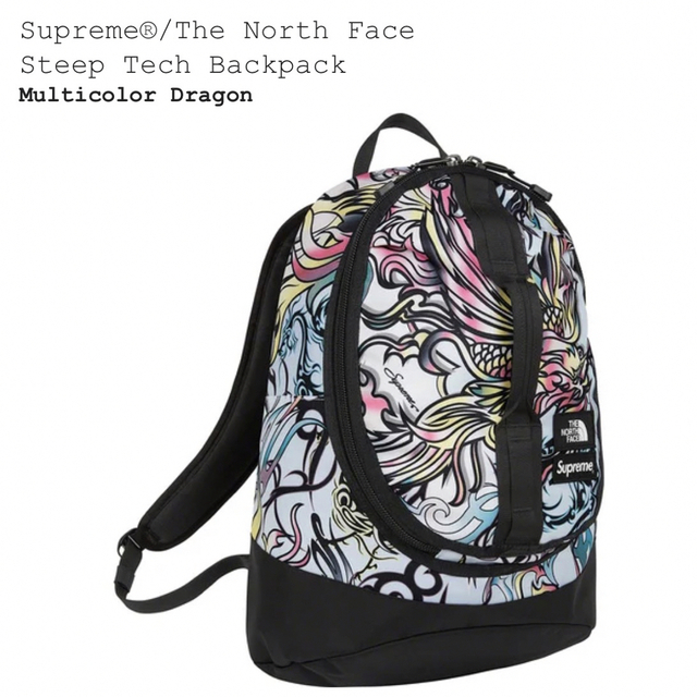 Supreme North Face Steep Tech Backpack