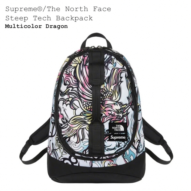 Supreme North Face Steep Tech Backpack