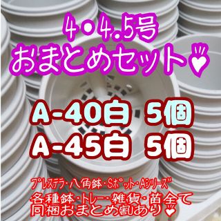 プラ鉢10個おまとめセット♪【A-40・A-45 各5個】プレステラ 多肉植物(プランター)