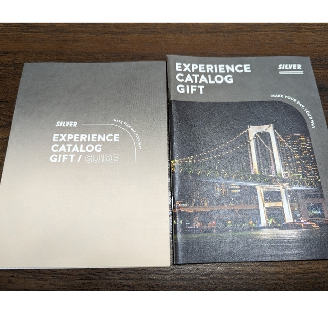 ソウエクスペリエンス Sow Experience 総合版カタログSILVER チケットのチケット その他(その他)の商品写真