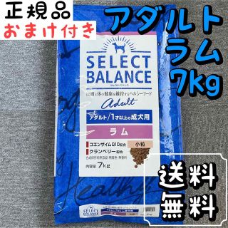 セレクト(SELECT)のセレクトバランス ラム 7kg 小粒 アダルト ドッグフード  ペットフード(ペットフード)