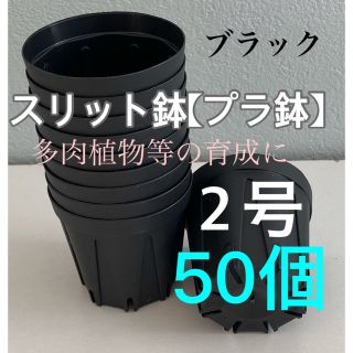 【スリット鉢】プラ鉢直径6cm 2号　50個セット【新品】メルカリ便(プランター)