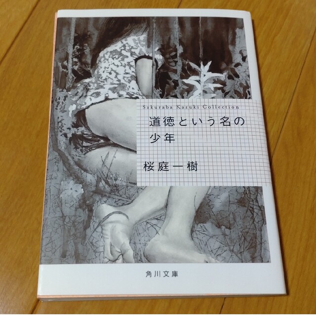 角川書店(カドカワショテン)の道徳という名の少年 桜庭一樹 エンタメ/ホビーのエンタメ その他(その他)の商品写真