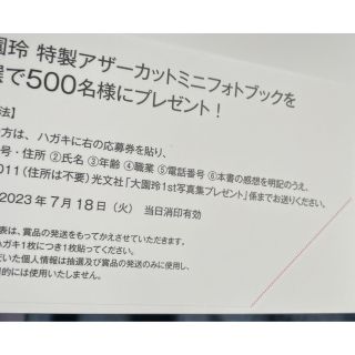 お気にいる】 櫻坂46 半分光、半分影 抽選券 写真集 大園玲 1st アート