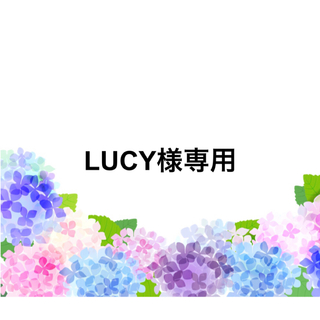 LUCY様専用(ブローチ/コサージュ)