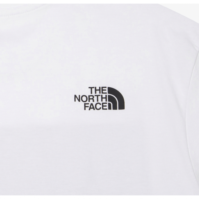 THE NORTH FACE(ザノースフェイス)のノースフェイス　BIG LOGO BANDANA S/S R/TEE メンズのトップス(Tシャツ/カットソー(半袖/袖なし))の商品写真