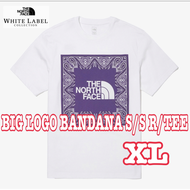 THE NORTH FACE(ザノースフェイス)のノースフェイス　BIG LOGO BANDANA S/S R/TEE メンズのトップス(Tシャツ/カットソー(半袖/袖なし))の商品写真