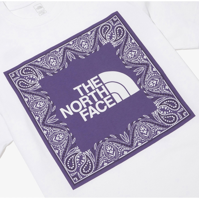 THE NORTH FACE(ザノースフェイス)のノースフェイス　BIG LOGO BANDANA S/S R/TEE メンズのトップス(Tシャツ/カットソー(半袖/袖なし))の商品写真