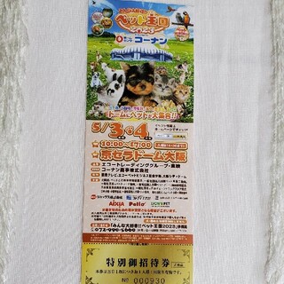 ペット王国　チケット(遊園地/テーマパーク)