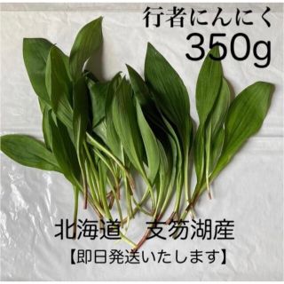 新鮮！行者にんにく350g 本日中発送 北海道産(野菜)