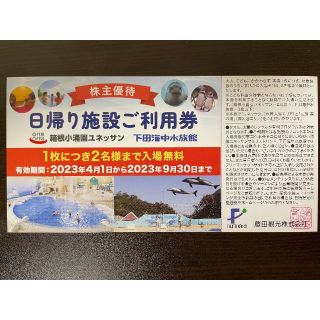 箱根ユネッサン 日帰り施設利用券 藤田観光 株主優待券 下田海中水族館(その他)