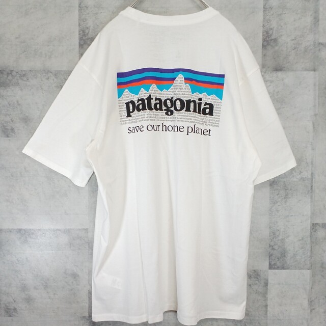 ❗新品未使用❗ patagonia パタゴニア メンズTシャツ 白 M キャンプ