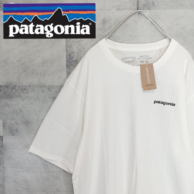 patagonia(パタゴニア)の❗新品未使用❗ patagonia パタゴニア メンズTシャツ 白 M キャンプ メンズのトップス(Tシャツ/カットソー(半袖/袖なし))の商品写真