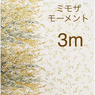 mOmen-t 綿麻ソフリー加工 ミモザ モーメント　５m  （真空パック）