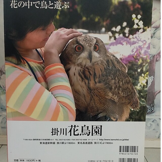 コンパニオンバ－ド 鳥たちと楽しく快適に暮らすための情報誌 ｎｏ．０１ エンタメ/ホビーの本(住まい/暮らし/子育て)の商品写真