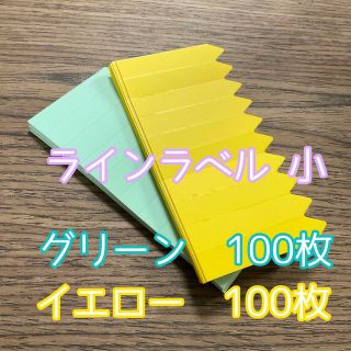 ラインラベル 小 緑・黄 各100枚 園芸カラーラベル 多肉植物 エケベリア(プランター)