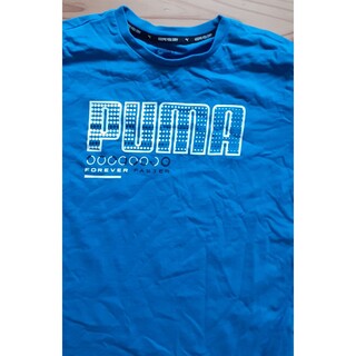 プーマ(PUMA)のプーマPUMA　160 半袖Tシャツ　ブルー(Tシャツ/カットソー)