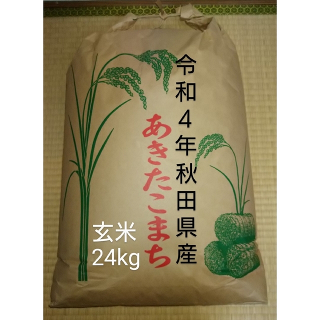 ２４kg　農家直送　あきたこまち　令和４年秋田県仙北産　米/穀物