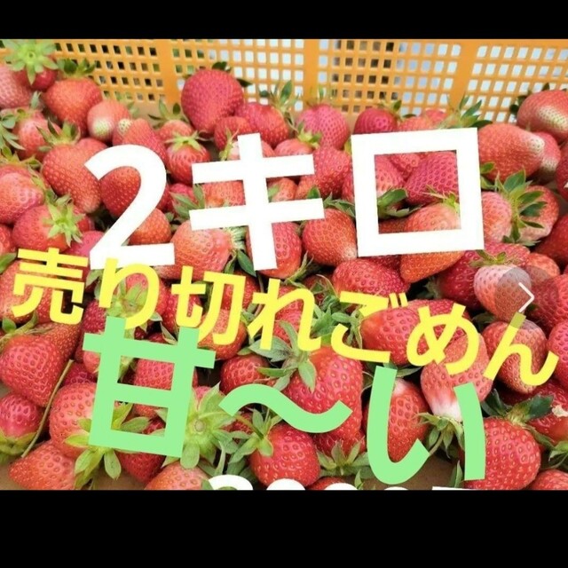 箱満杯❤規格外バラ詰❤小粒中粒ゆうべに2k✖️2箱 送料込6400→6150