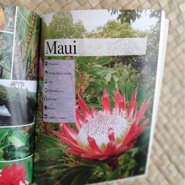 ハワイの植物園のポケットガイド(英語) エンタメ/ホビーの本(趣味/スポーツ/実用)の商品写真