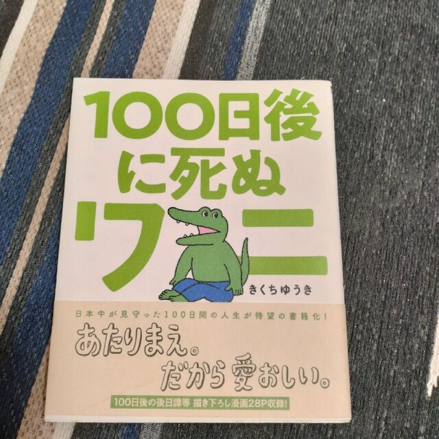 読書用の本２冊 エンタメ/ホビーの本(絵本/児童書)の商品写真