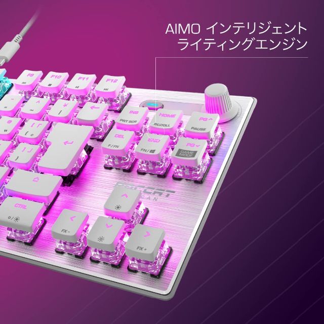 ROCCAT ゲーミングキーボード Vulcan TKL JP 日本語配列 有線 最安挑戦