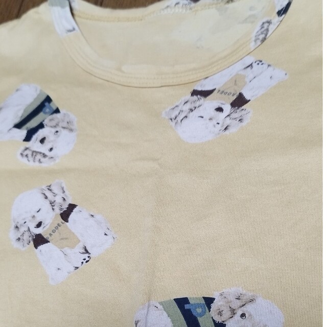 ketty(ケティ)のケティ Tシャツ  ベージュイエローM～L レディースのトップス(Tシャツ(半袖/袖なし))の商品写真