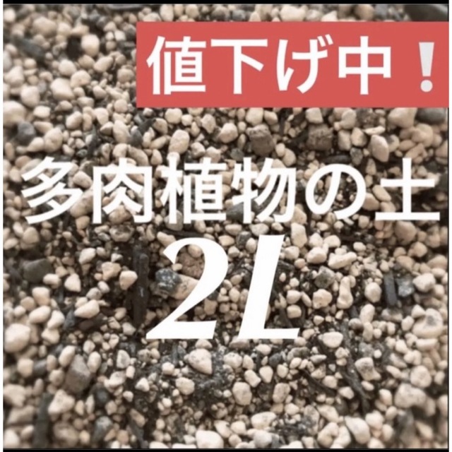 値上げ中❣️多肉植物　サボテンの土　約2リットル 即購入歓迎❣️ ハンドメイドのフラワー/ガーデン(その他)の商品写真