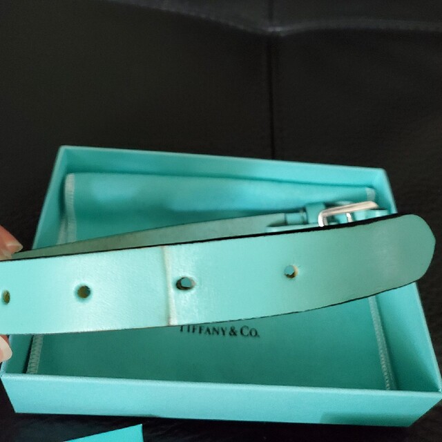 Tiffany & Co.(ティファニー)のTiffany ティファニー 首輪 その他のペット用品(犬)の商品写真