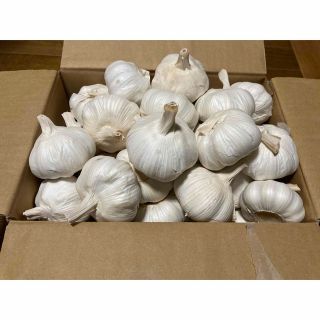 嘉定種 令和4年度産 ニンニク 中球(M球程度) 1kg にんにく 三重県産 (野菜)